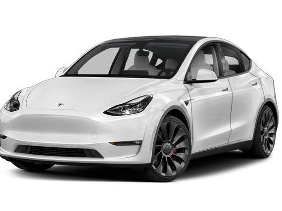 TESLA MODEL Y 2021 5YJYGDEE4MF144555 image